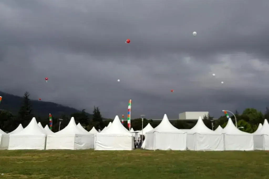 Bursa Festival Projesi, saha görseli 3